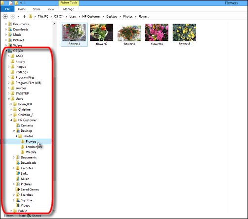 File Explorer, with the C-drive directory and Users expanded